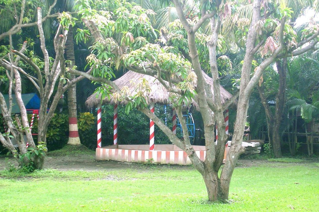 Palm Village Resort Calcutá Exterior foto