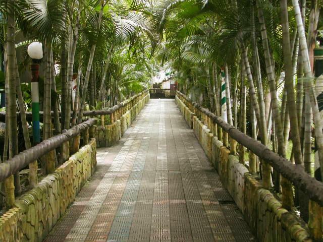Palm Village Resort Calcutá Exterior foto